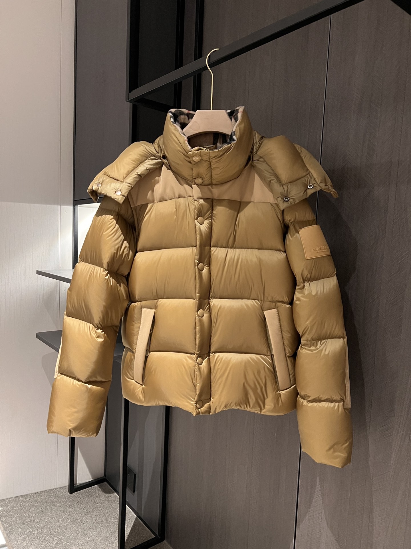 Burberry Down Jackets